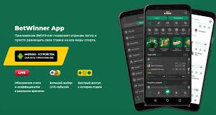 Betwinner Your Ultimate Guide to Sports Betting and Online Casino