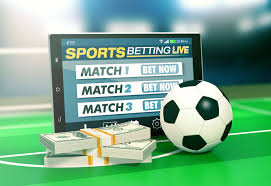 Everything You Need to Know About 1xBet 351161691