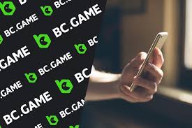 Log In to Your BC.Game - Step by Step Guide
