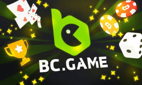 Understanding the KYC Process at BC Game.vc A Comprehensive Guide
