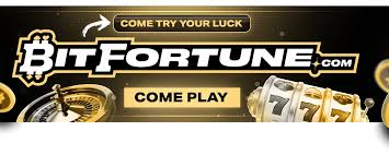 Bitfortune Live Dealer Games The Best Experience for Gamblers Bitfortune Live Dealer Games The Best Experience for Gamblers