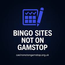 What Bingo Sites Are Not Understanding the Differentiating Factors